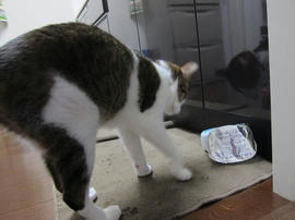 IMG05970.jpg