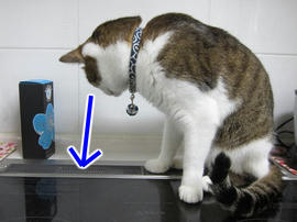 IMG05973.jpg