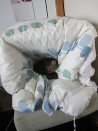 IMG05974.jpg