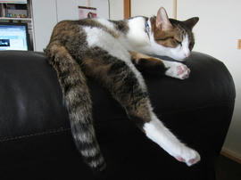 IMG05977.jpg