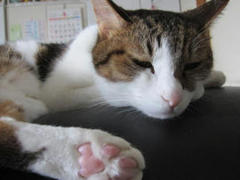 IMG05978.jpg
