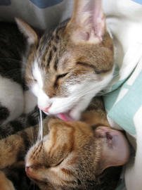IMG05981.jpg