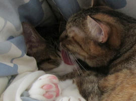 IMG05986.jpg