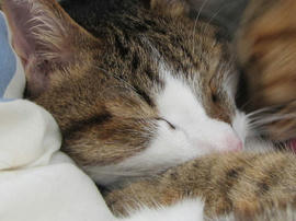 IMG05987.jpg