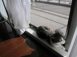 IMG05988.jpg