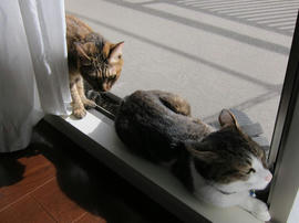 IMG05989.jpg