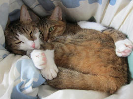 IMG05990.jpg