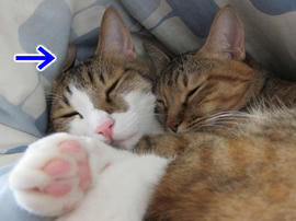 IMG05991.jpg