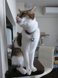 IMG05997.jpg