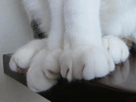 IMG05998.jpg