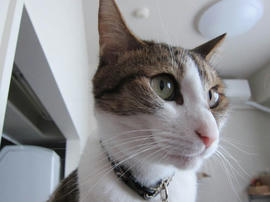 IMG05999.jpg