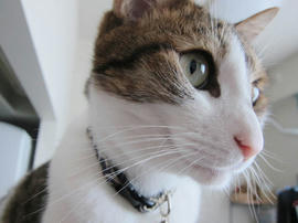 IMG06000.jpg