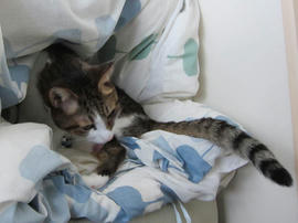 IMG06002.jpg