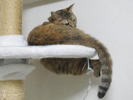 IMG06008.jpg