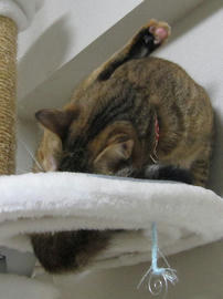 IMG06010.jpg