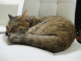 IMG06018.jpg
