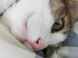IMG06020.jpg