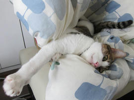 IMG06021.jpg