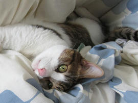 IMG06022.jpg