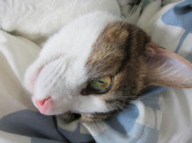 IMG06023.jpg