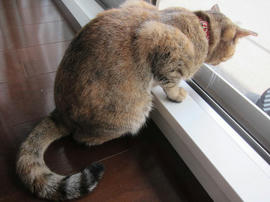 IMG06026.jpg