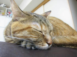 IMG06028.jpg