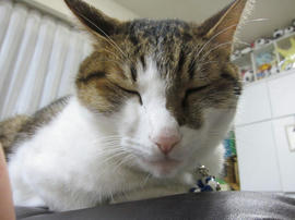 IMG06029.jpg