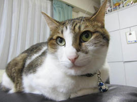 IMG06030.jpg