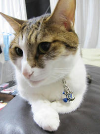 IMG06031.jpg