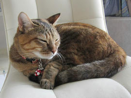 IMG06034.jpg