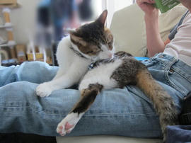 IMG06035.jpg