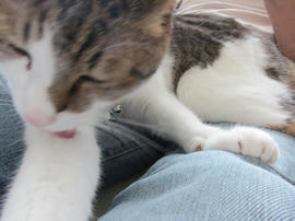 IMG06037.jpg