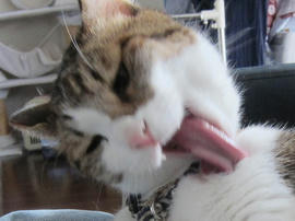 IMG06039.jpg