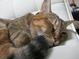 IMG06043.jpg