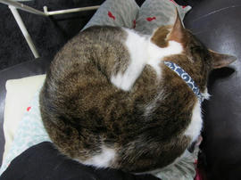 IMG06045.jpg
