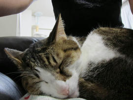 IMG06046.jpg