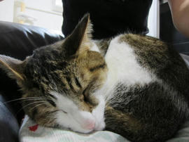 IMG06047.jpg