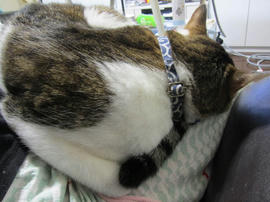 IMG06049.jpg