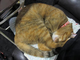 IMG06050.jpg