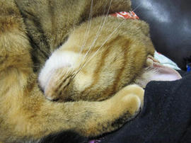 IMG06051.jpg