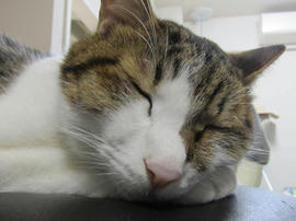 IMG06052.jpg