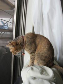 IMG06053.jpg
