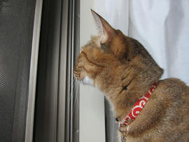 IMG06054.jpg