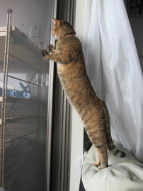 IMG06056.jpg