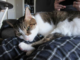IMG06057.jpg