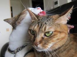 IMG06062.jpg