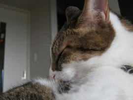 IMG06067.jpg