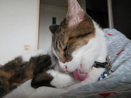 IMG06068.jpg