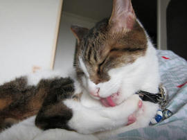 IMG06069.jpg