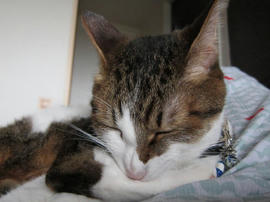 IMG06071.jpg
